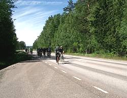 Eine Gruppe Rennrad-Fahrer. Hier geht's zur Großansicht...