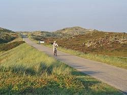 Fahrt durch die Dünen. Hier geht's zur Großansicht...