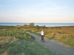 Fahrt durch die Heide. Hier geht's zur Großansicht...