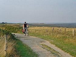 An der Wattseite. Hier geht's zur Großansicht...