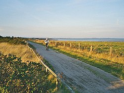 Im Hintergrund die Salzwiesen. Hier geht's zur Großansicht...