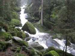 Die Triberger Wasserfälle...
