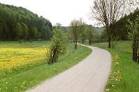 Ein Radwanderweg im Naturpark Altmühltal. Hier geht's zur Großansicht...